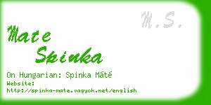 mate spinka business card