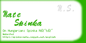 mate spinka business card